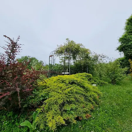 Apartment Garden *