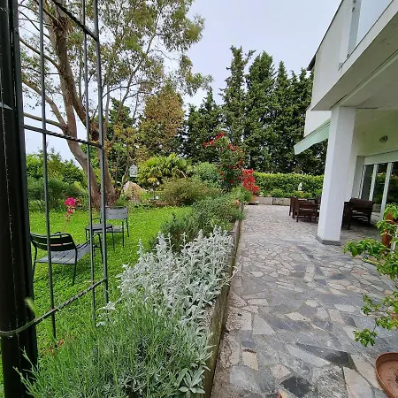 Garden *
